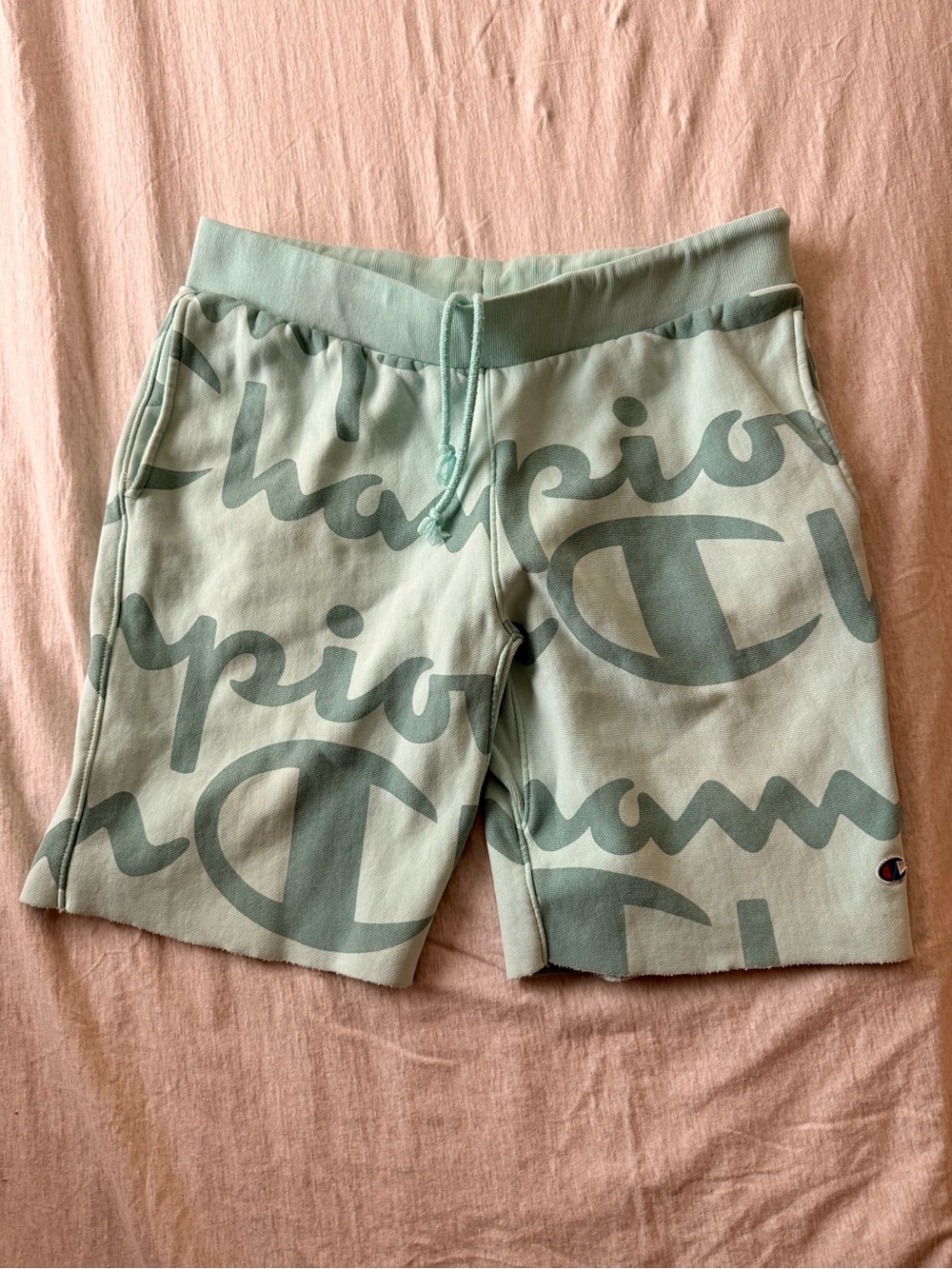 Champion Mint Green Allover Script Men's Athletic Shorts